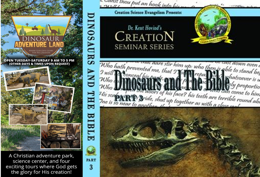 25 Dinosaur Adventure Land Flyers and 25 DVD Discs: Dinosaurs and the Bible