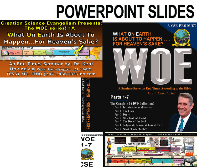 WOE Series Power Point Slides (Digital Download)