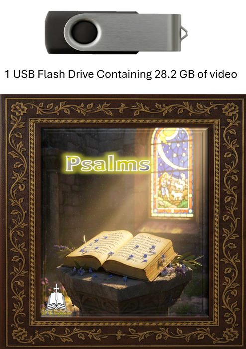 Bible Study: Psalms - USB Video
