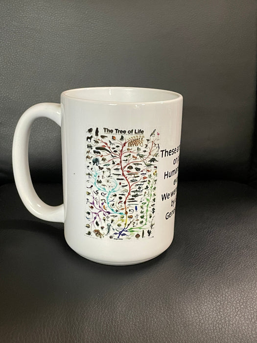 Dinosaur Adventure Land Mugs